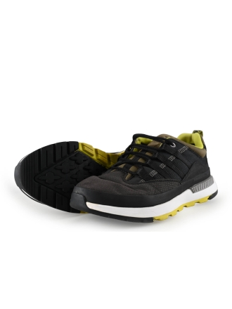 Timberland Sneaker