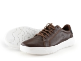 Timberland Sneaker