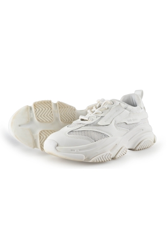 Steve Madden Sneaker