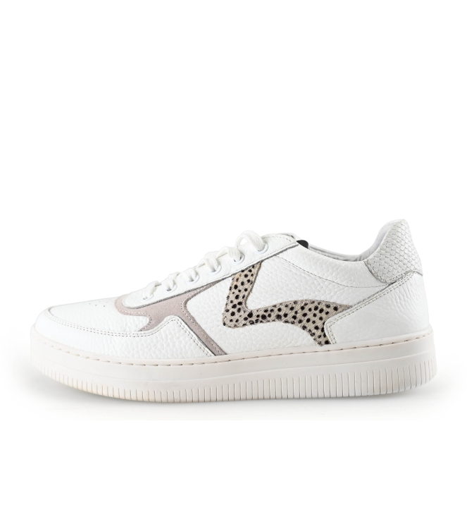 Maruti Sneaker