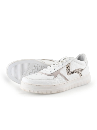 Maruti Sneaker