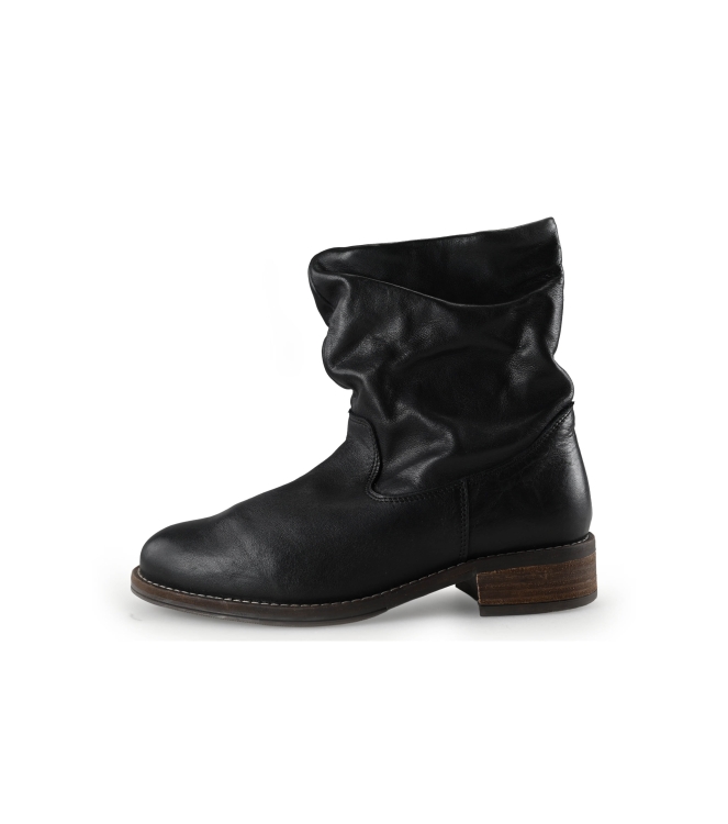 Nelson Stiefel