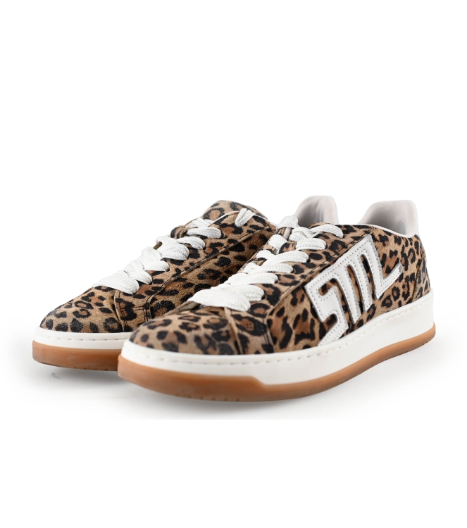 Steve Madden Sneaker