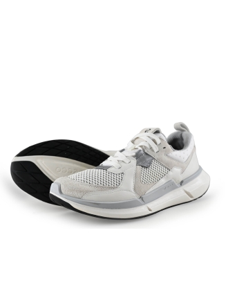 Ecco Sneaker