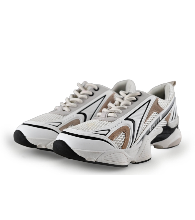 Steve Madden Sneaker