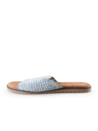 Lazamani Flip-Flops
