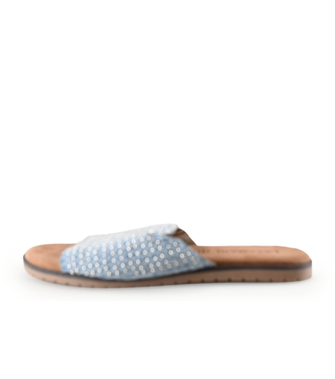 Lazamani Flip-Flops