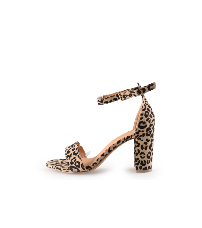 Nelson pumps