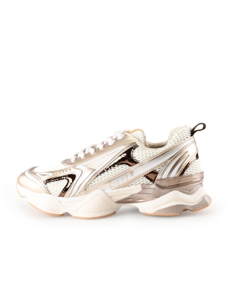 Steve Madden Sneaker