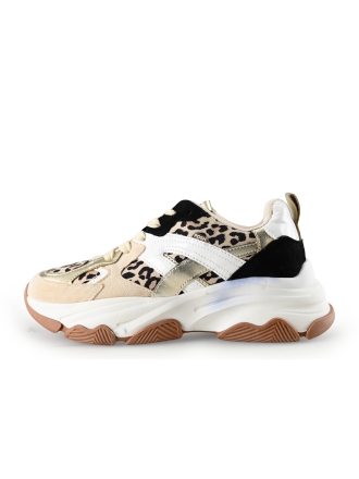 Blue Box Sneaker Beige 279631
