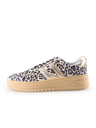 Poelman Sneaker Braun 279716