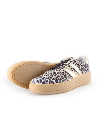 Poelman Sneaker