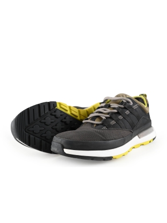 Timberland Sneaker