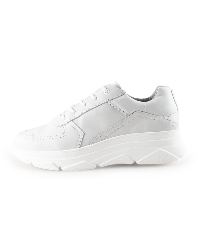 Bridge E8015 Sneaker