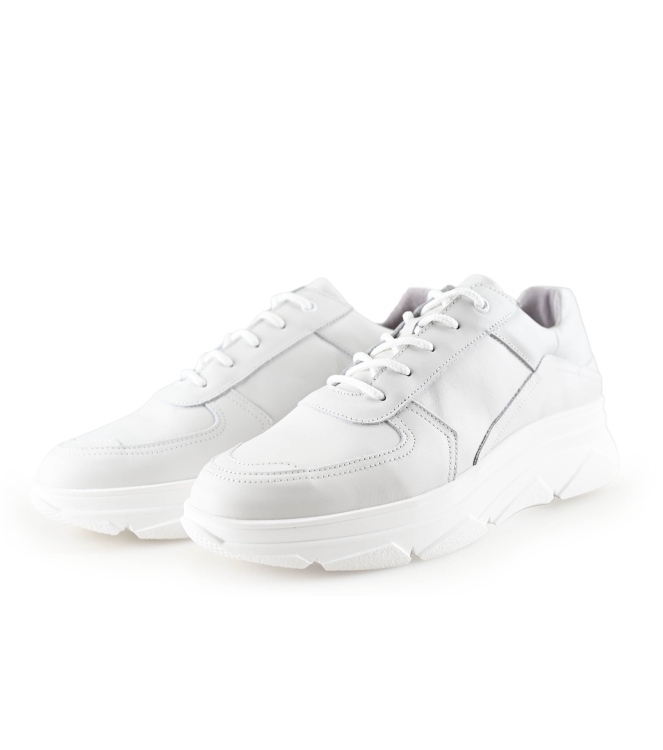 Bridge E8015 Sneaker