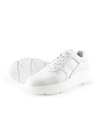 Bridge E8015 Sneaker