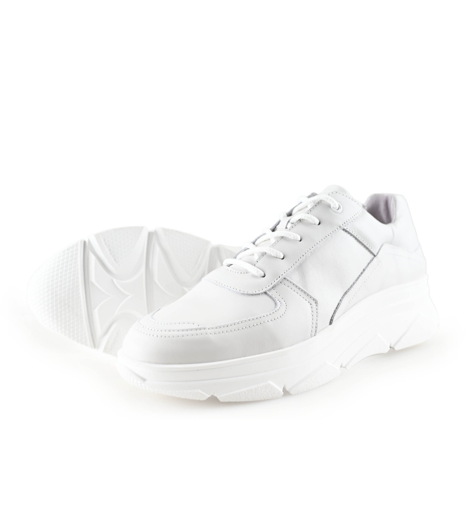 Bridge E8015 Sneaker