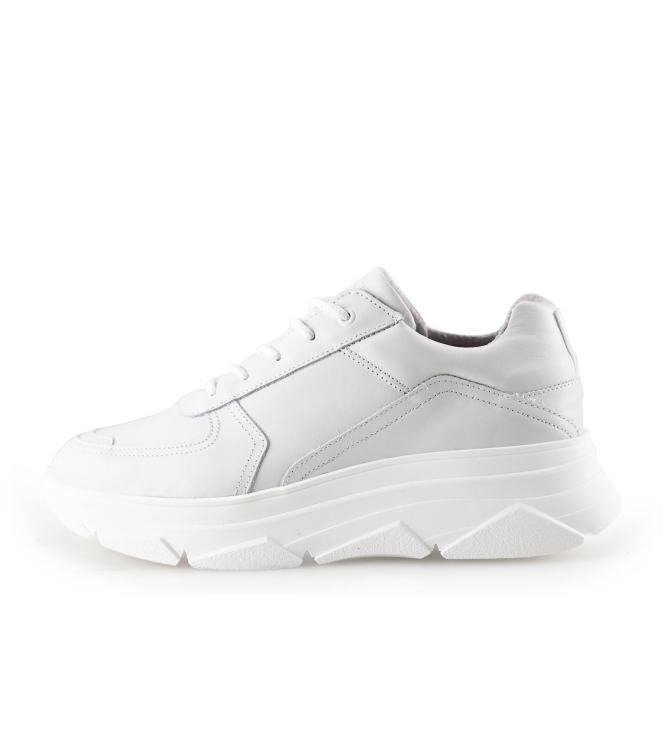 Bridge Footwear Sneaker