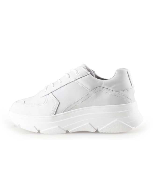 Bridge Footwear Sneaker