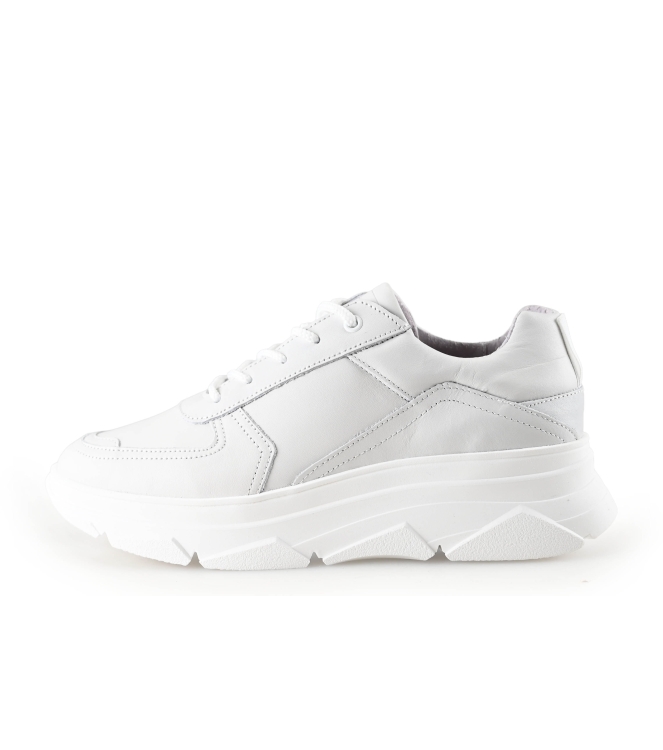 Bridge Footwear Sneaker