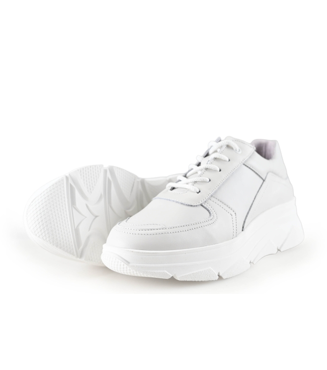 Bridge Footwear Sneaker