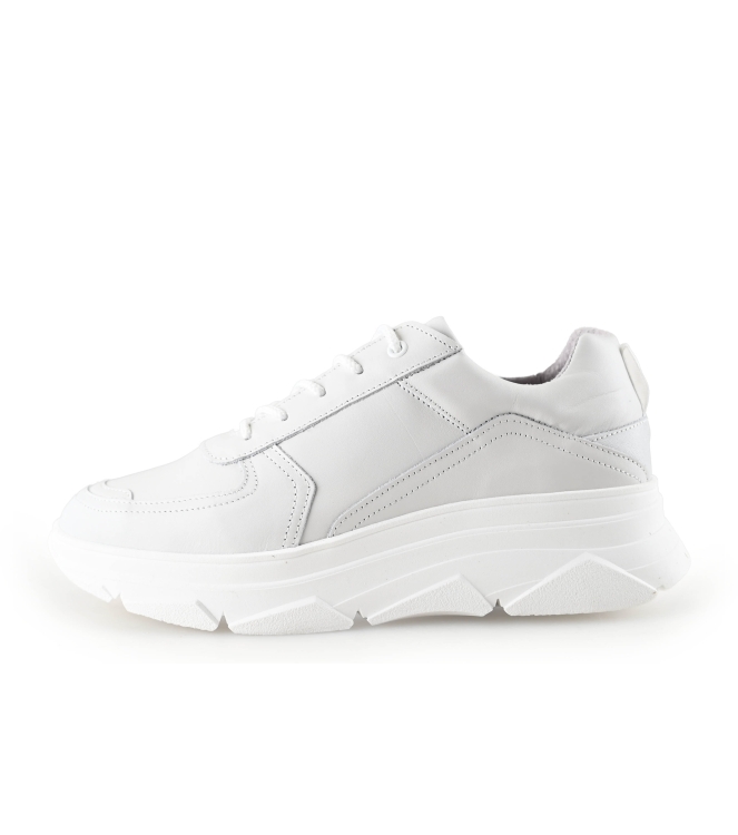 Bridge Footwear Sneaker