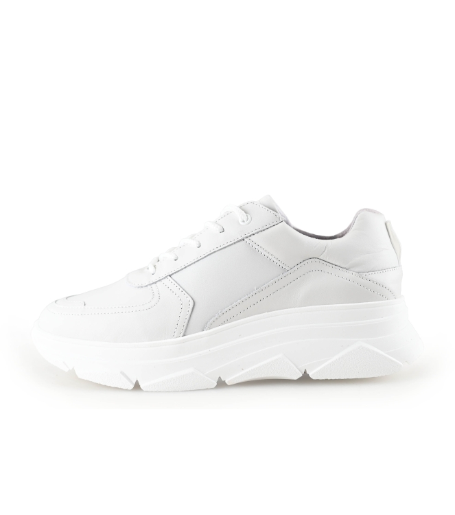 Bridge Footwear Sneaker