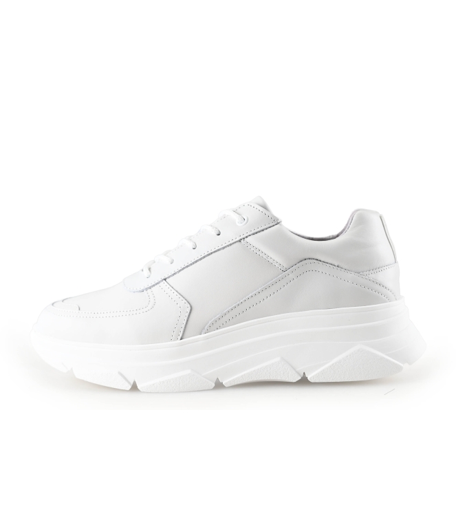 Bridge Footwear Sneaker