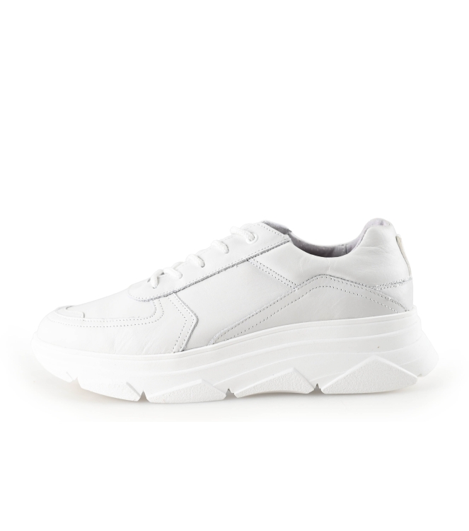 Bridge Footwear Sneaker