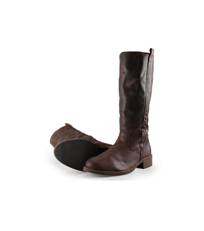 Nelson Stiefel