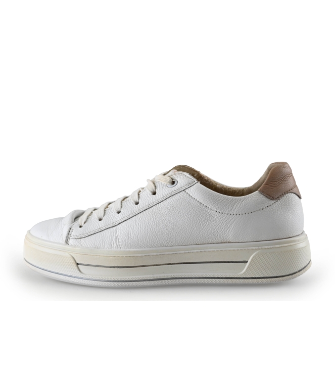 Ara Sneaker
