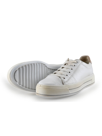 Ara Sneaker