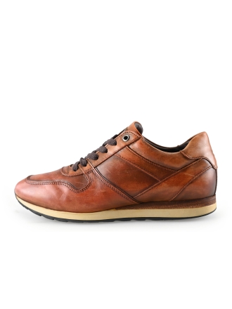Greve Sneaker