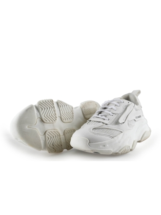 Steve Madden Sneaker