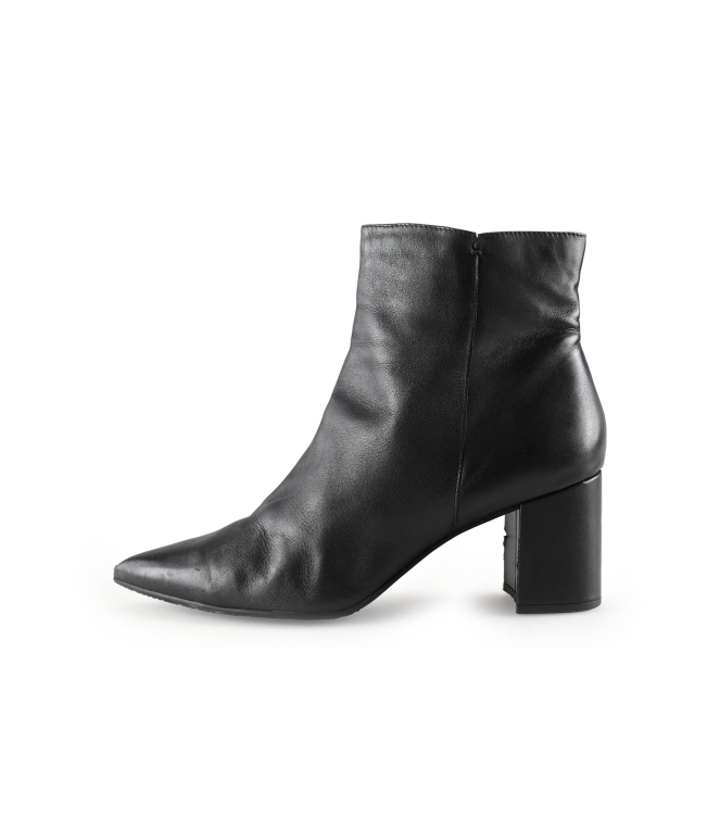 Nelson Stiefel