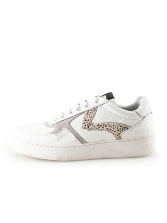 Maruti Sneaker
