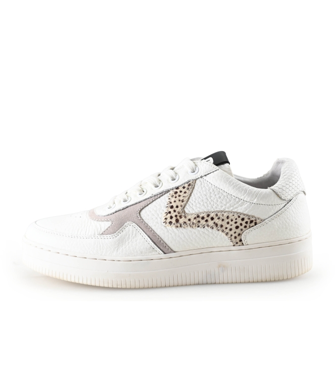 Maruti Sneaker