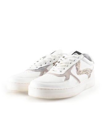 Maruti Sneaker