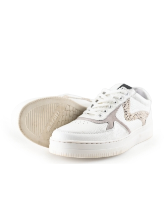 Maruti Sneaker