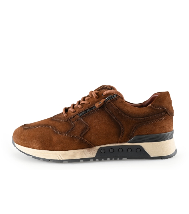Greve Sneaker