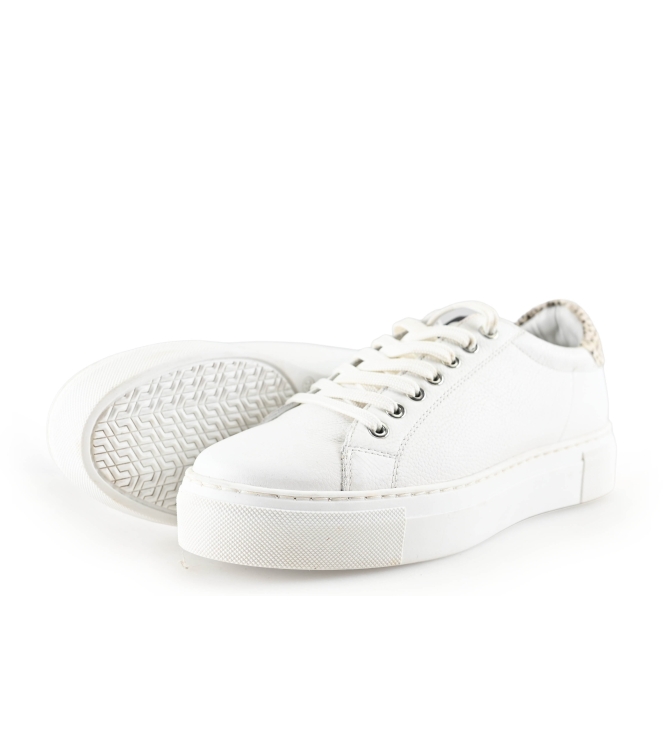 Maruti Sneaker