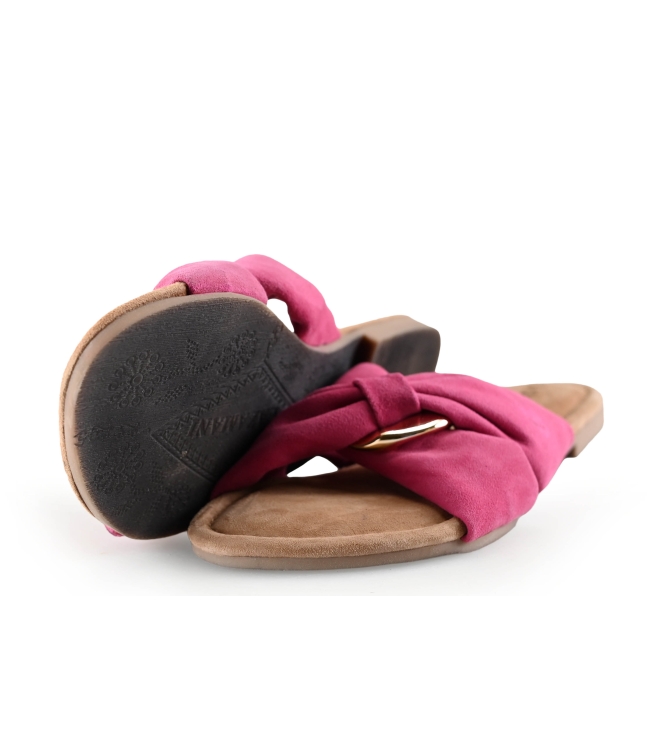 Lazamani Flip-Flops