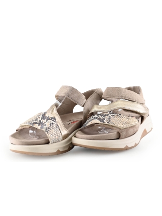 Gabor Sandalen Beige 282754