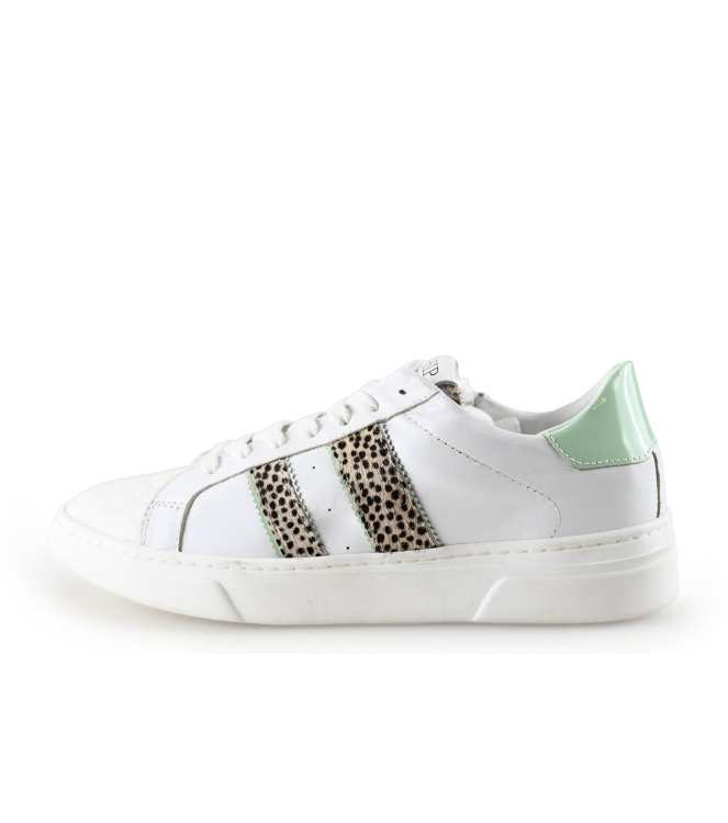 HIP Sneaker