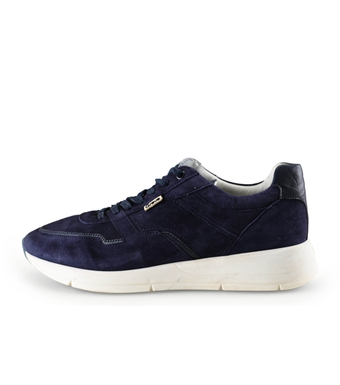 Greve Sneaker