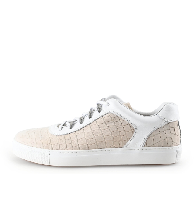 Greve Sneaker