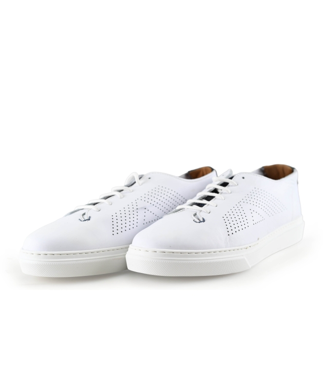 Greve Sneaker