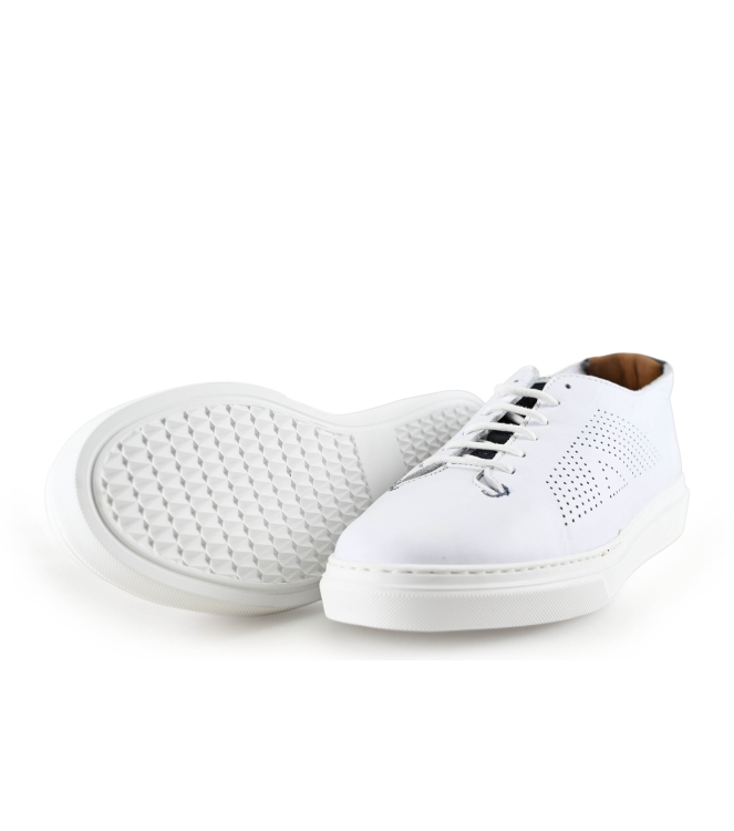 Greve Sneaker