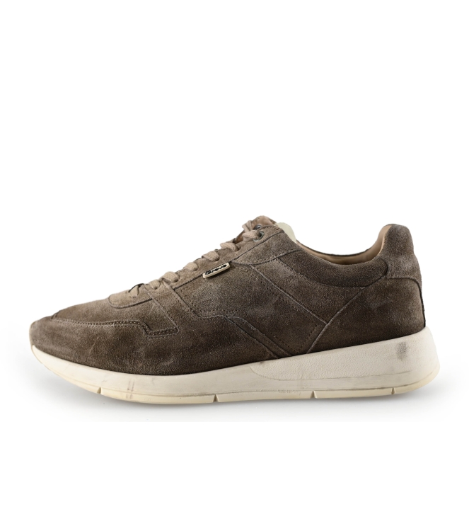 Greve Sneaker