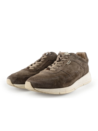 Greve Sneaker